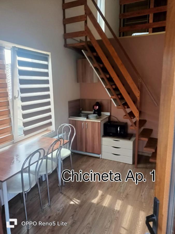 Casa Lucaciu Villa Cluj-Napoca Eksteriør billede